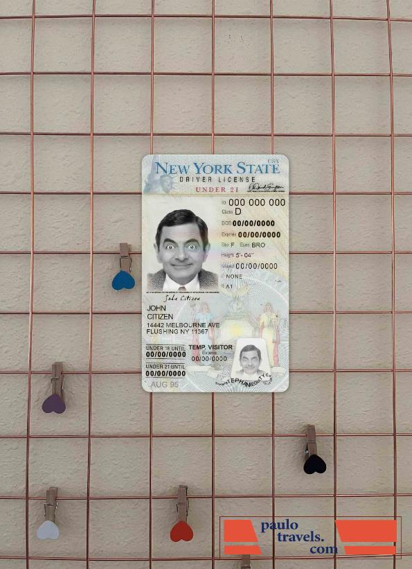 USA New York driving license under 21 photolook FRONT PSD template